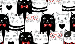 猫漫画黑白,漫绘时光里的喵星人奇遇记