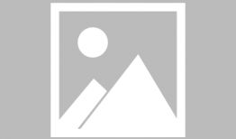 乔巴漫画,从可爱宠物到英勇战士的蜕变之路